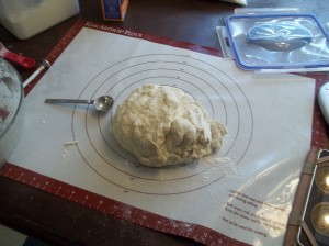 Pre-kneaded bagel dough.