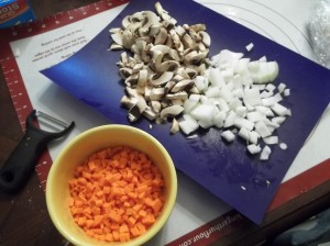 Tiny diced carrots thanks to the best husband/sous chef in the world.